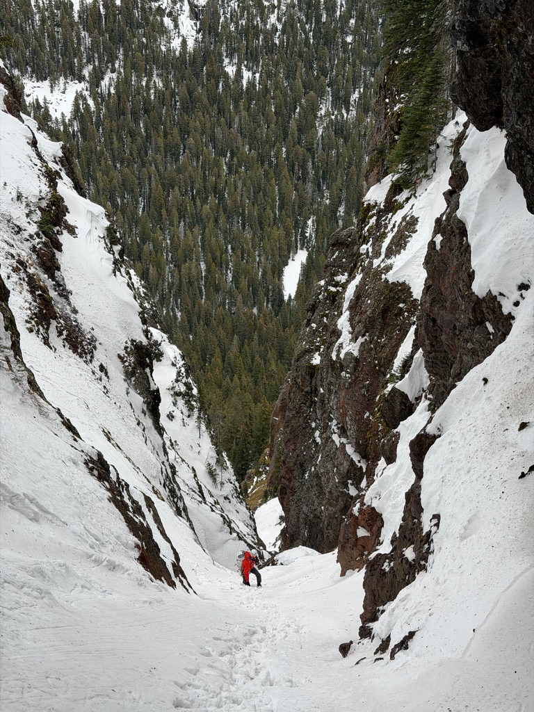 63AA9662 746E 44B1 BBED BFD804E9A867 1 105 C