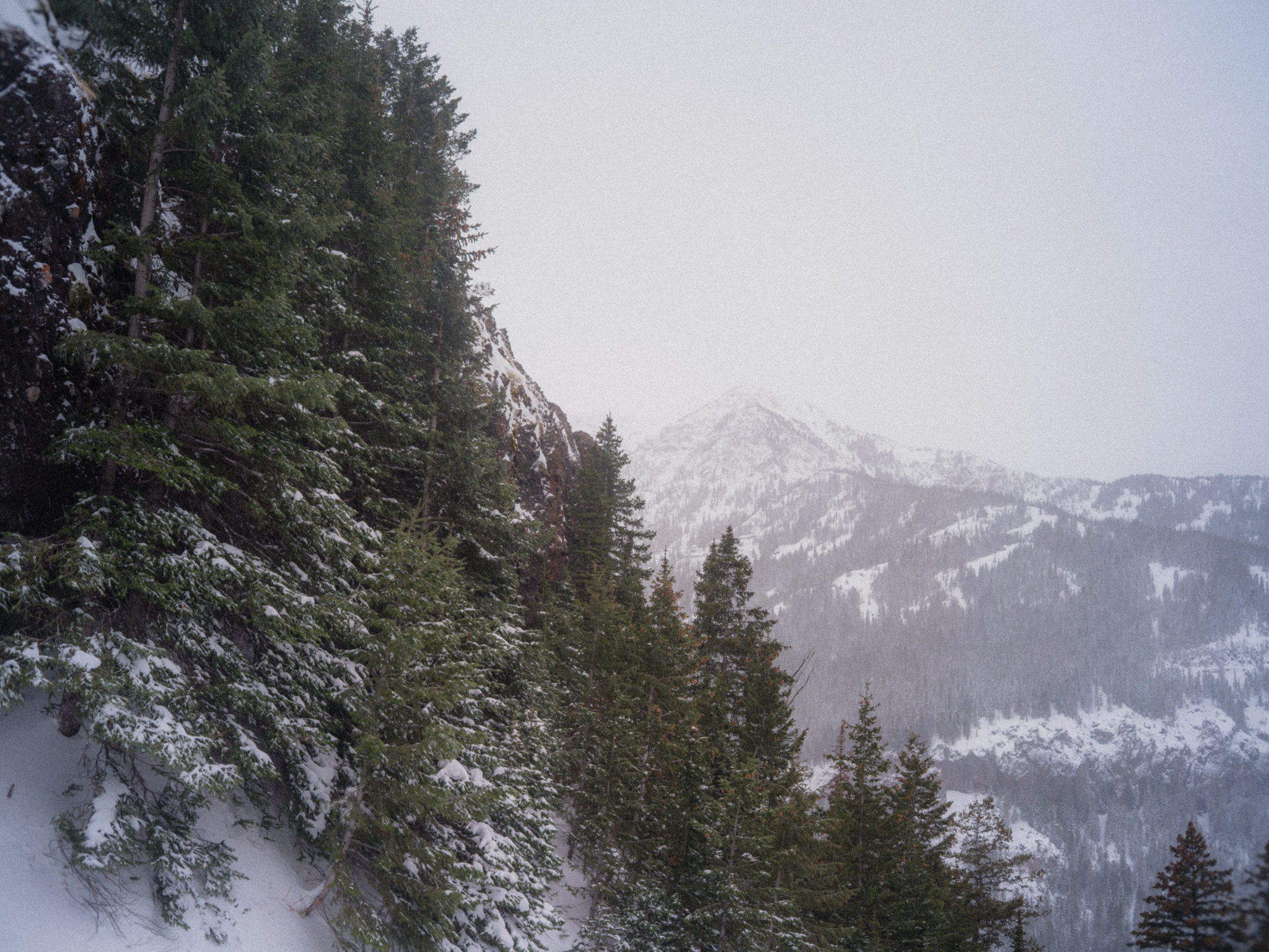 View from Genesis II